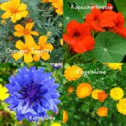 Blumensamen-Set Gourmet Blumen, Essbar, Bienenfreundlich, Dekorativ 9 Blumensamen-Set Gourmet Blumen, Essbar, Bienenfreundlich, Dekorativ -Biohort Gartenarbeit Geschaft 0710403583 Blumensamen Set Gourmet Blumen 4essbare Sorten mit organ Duenger 5 60480