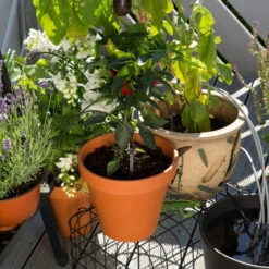 Gardena Urlaubsbewässerung City-Gardening, Bis Zu 36 Töpfe, Transformator, Zeitschaltuhr -Biohort Gartenarbeit Geschaft 0930100238 city Gardening Urlaubsbewaesserung fuer bis zu 36 Topfpflanzen 3 61508