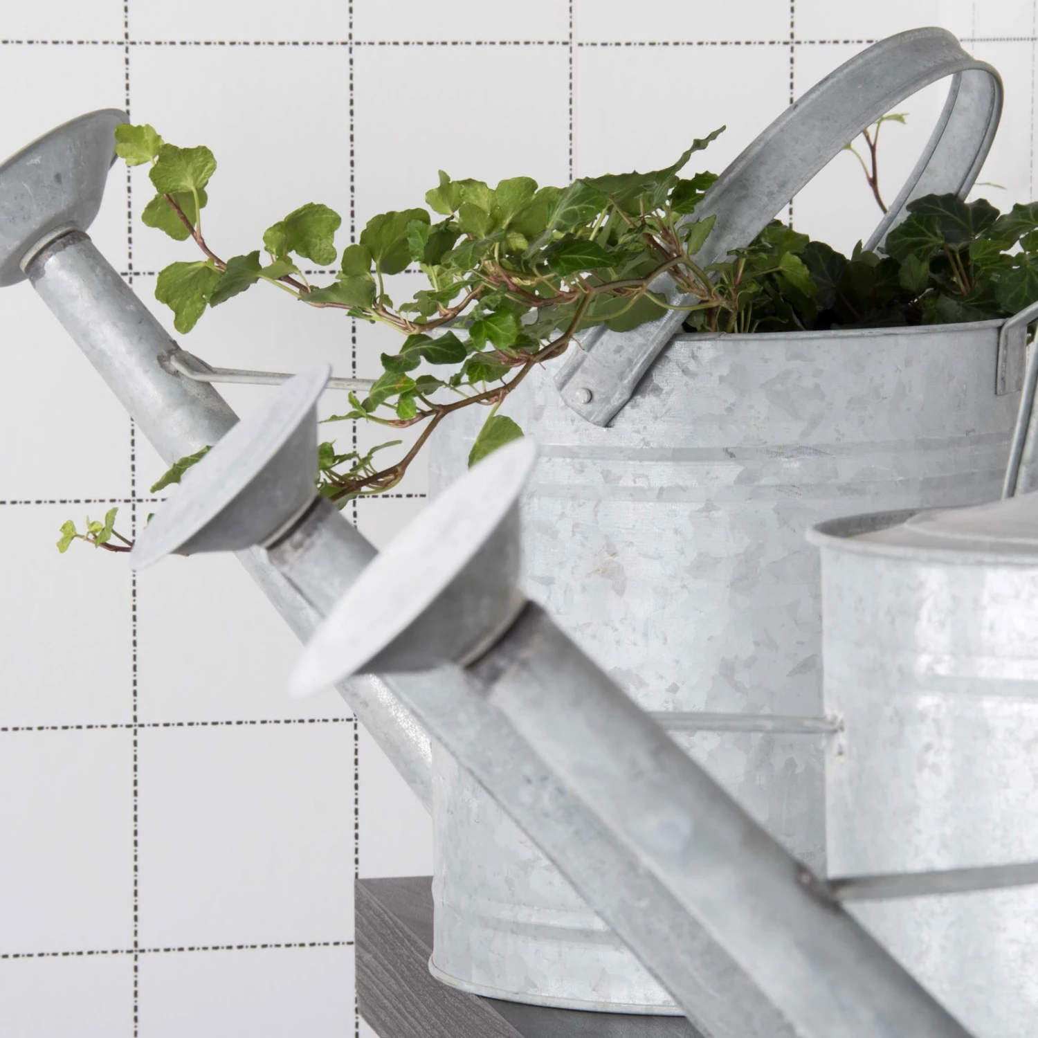 Altzink Gießkanne, Galvanisch Verzinkter Karbonstahl, 3,5 L 3 Altzink Gießkanne, Galvanisch Verzinkter Karbonstahl, 3,5 L – Bild 3