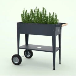 Hochbeet-Trolley Mit Rädern, Anthrazit, Metall, 75 X 35 X 80 Cm, 47 L -Biohort Gartenarbeit Geschaft 0980250141 Urban Garden Trolly auf Raedern anthrazit 9 84505