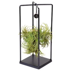 Tillandsia 'Silver Ball' In Eckigem Metallgestell, 17cm Ø -Biohort Gartenarbeit Geschaft 1530102422 Tillandsia Cube Silver Ball eckig H30cm 5 86563