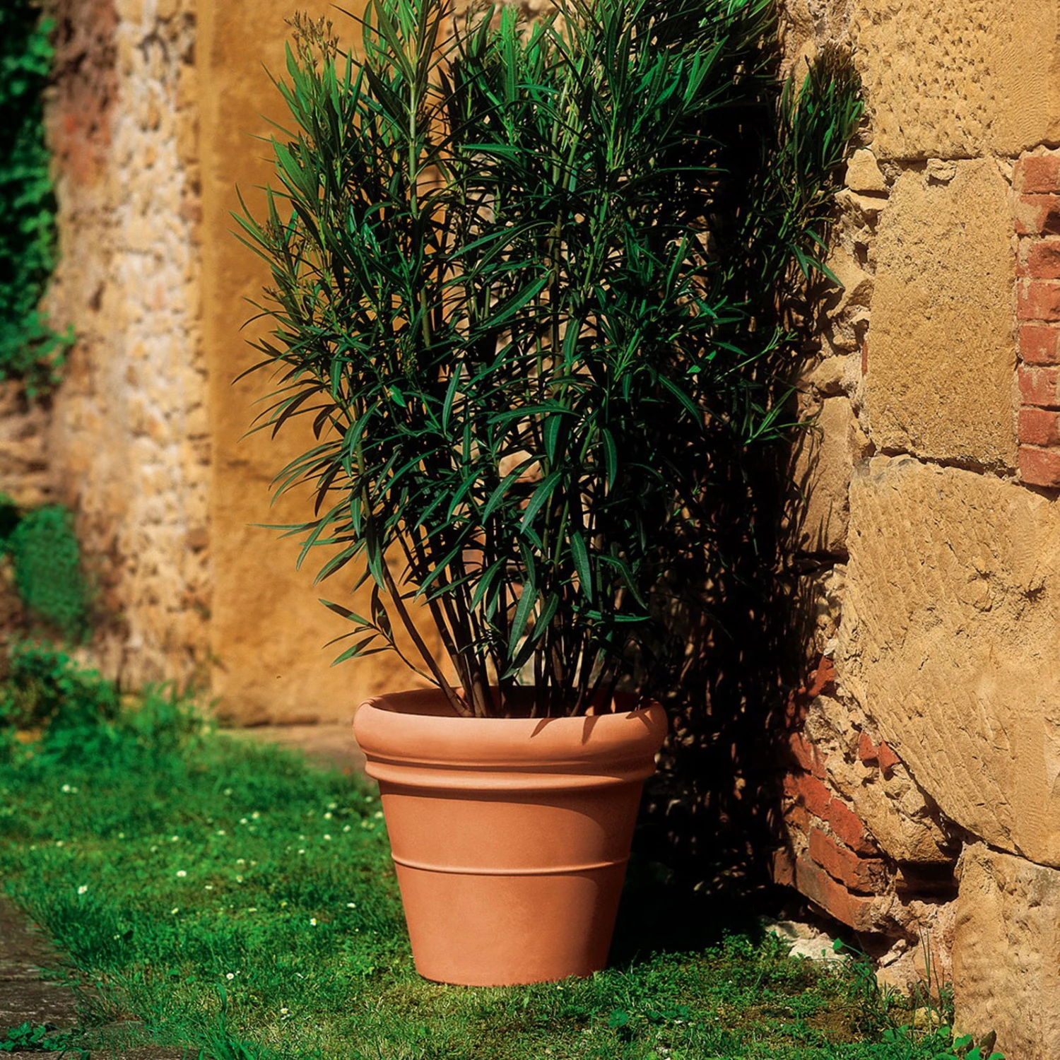 Euro 3 Plast Pflanzkübel Doppio Bordo Terra 1 Euro 3 Plast Pflanzkübel Doppio Bordo Terra