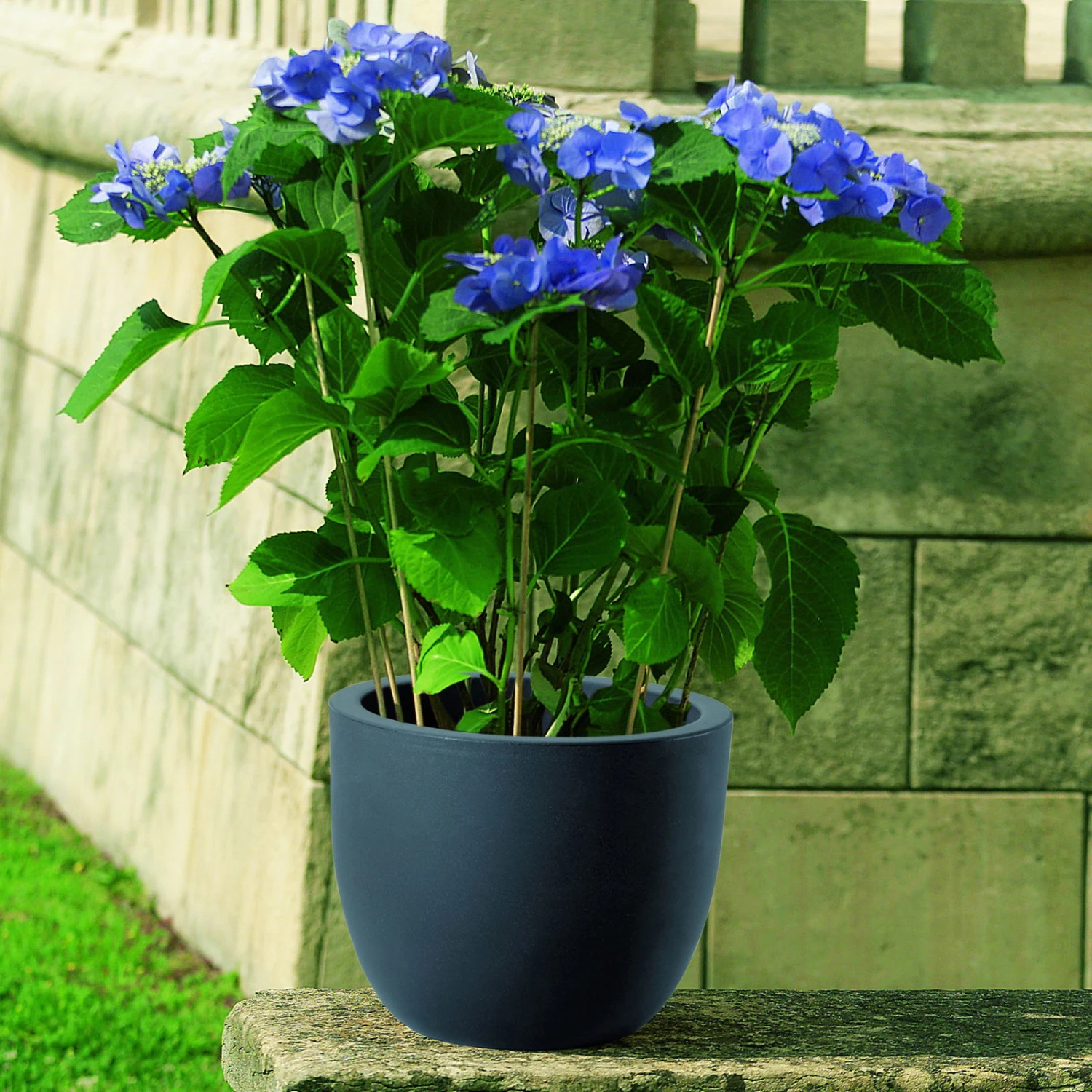 Pflanzkübel Etria Perlschwarz, Ø 24 X H 20 Cm 1 Pflanzkübel Etria Perlschwarz, Ø 24 X H 20 Cm