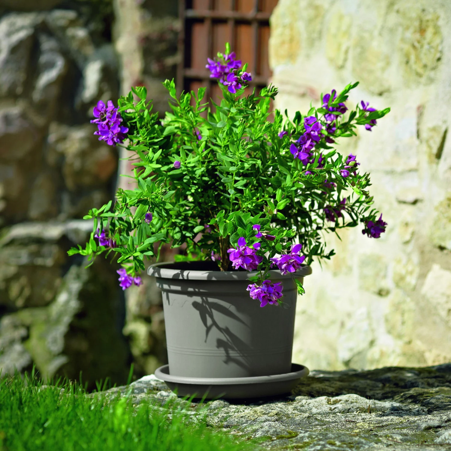 Euro 3 Plast Pflanzkübel Geo Taupe 1 Euro 3 Plast Pflanzkübel Geo Taupe