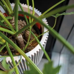 Pflanzgefäß 'Groove', Elfenbein, Ø 35 X H 34 Cm 5 Pflanzgefäß 'Groove', Elfenbein, Ø 35 X H 34 Cm -Biohort Gartenarbeit Geschaft 3210104106 3210104107 3210104108 pflanzgefaess pflanzvase groove 116896