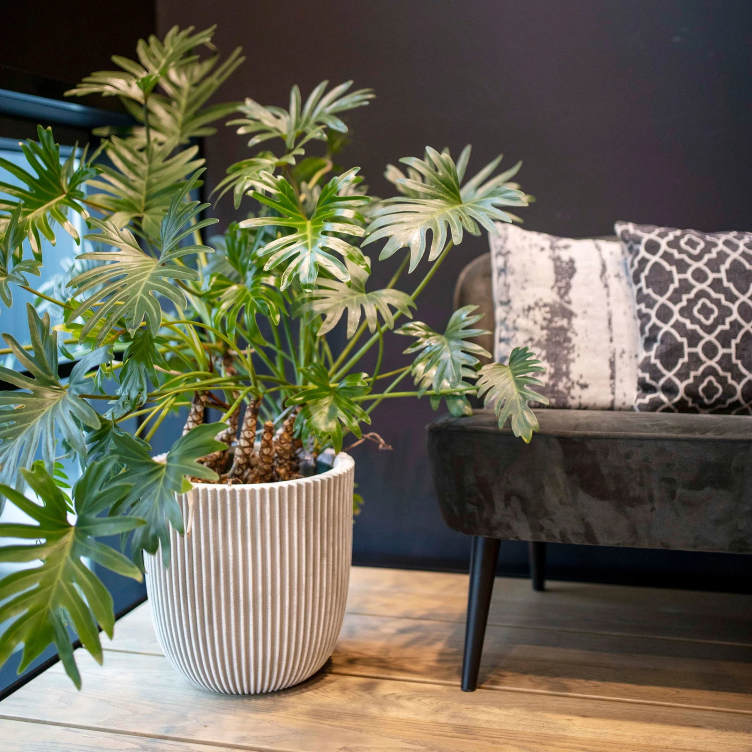 Pflanzgefäß 'Groove', Elfenbein, Ø 35 X H 34 Cm 2 Pflanzgefäß 'Groove', Elfenbein, Ø 35 X H 34 Cm – Bild 2