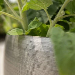 Pflanzgefäß 'Rowen', Silber, Ø 31 X H 28 Cm 8 Pflanzgefäß 'Rowen', Silber, Ø 31 X H 28 Cm -Biohort Gartenarbeit Geschaft 3210801625 3210801626 3210801627 3210801628 Pflanzgefaess Rowen silber 9 115005