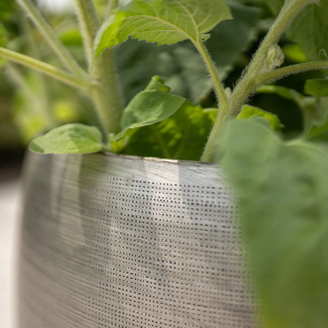 Pflanzgefäß 'Rowen', Silber, Ø 31 X H 28 Cm 3 Pflanzgefäß 'Rowen', Silber, Ø 31 X H 28 Cm – Bild 3