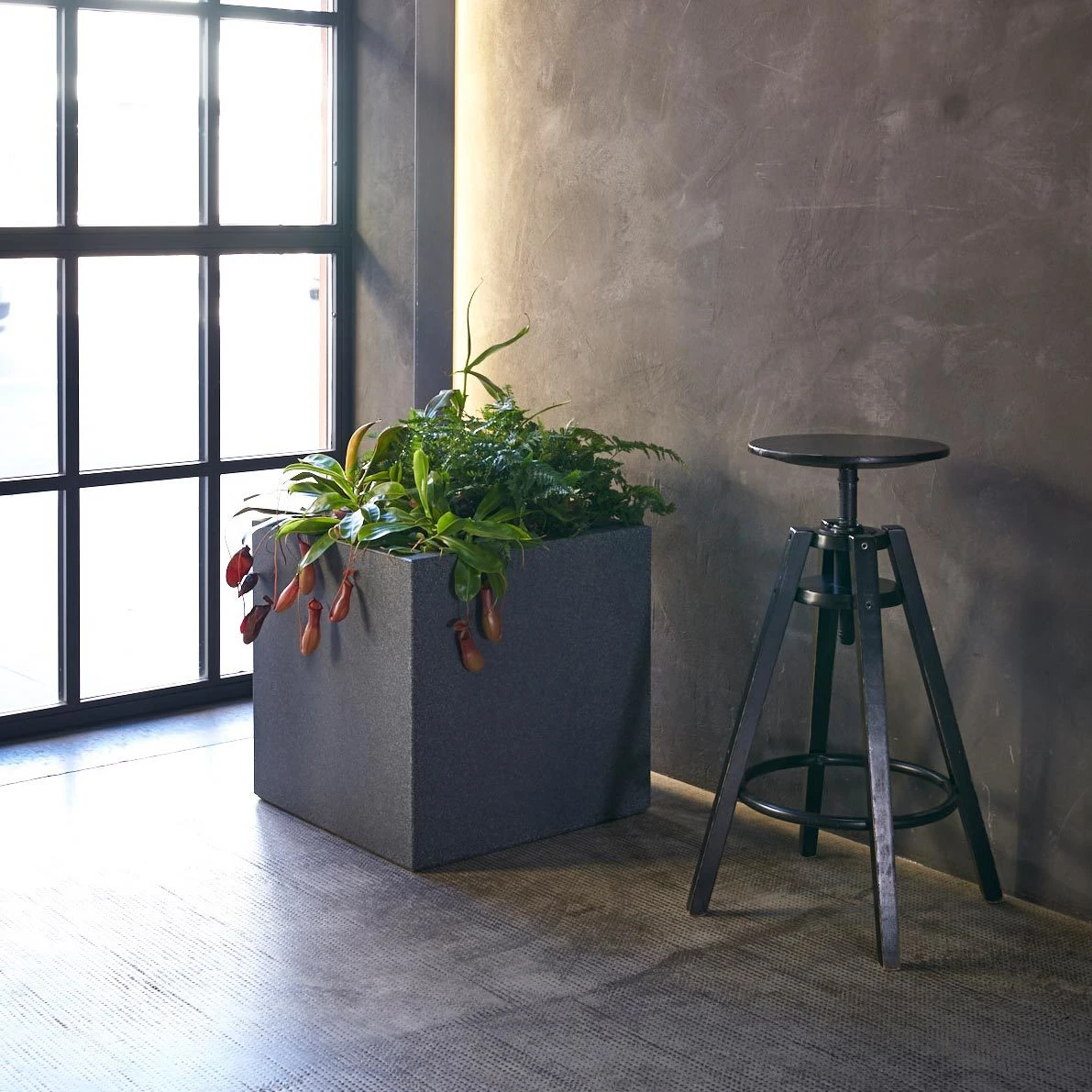 Pflanzkübel Kube, Granit, Aus Kunststoff, Robust, Pflegeleicht 1 Pflanzkübel Kube, Granit, Aus Kunststoff, Robust, Pflegeleicht