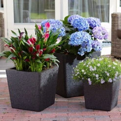 Pflanztrog IQ Dutch Aria, Schwarz, Frostfest Bis - 40 °C, Zu 100% Recycelbar