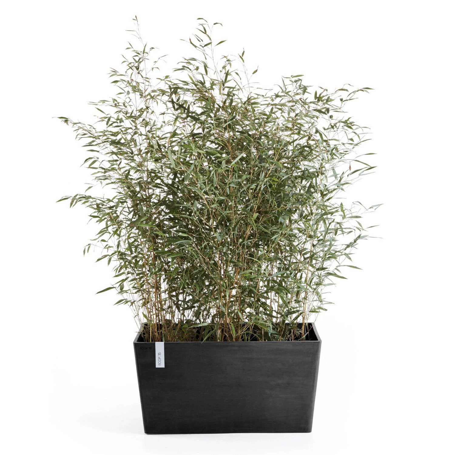 Pflanzkasten 'Paris', Dunkelgrau, L 60 X B 26 X H 40 Cm 2 Pflanzkasten 'Paris', Dunkelgrau, L 60 X B 26 X H 40 Cm – Bild 2