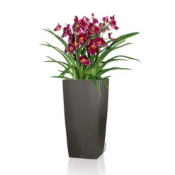 LECHUZA Cubico Premium, All-in-One-Set, Anthrazit-metallic, 22x22, H:41 Cm