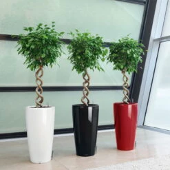 LECHUZA Rondo Premium, All-in-One-Set, Weiß Hochglanz, Ø 33 Cm, H:56 Cm -Biohort Gartenarbeit Geschaft 3325100103 Rondo Premium40 weiss All in OneSet D40xH75cm RGB 7757