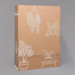 Rose Mit Topf Dallas Weiß, Topf-Ø 13 Cm, 3er-Set -Biohort Gartenarbeit Geschaft B2 02 Karton Sets mit Keramik 1 126161 5