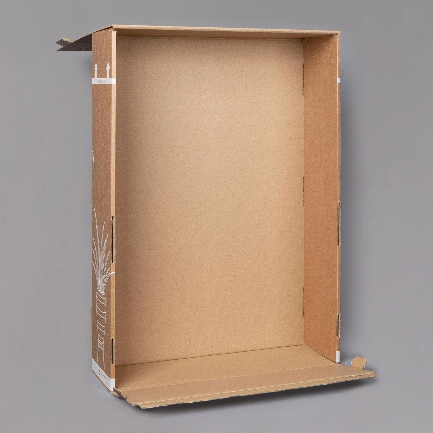 Dreimasterblume In Keramiktopf Weiß, Nach Verfügbarkeit, Topf-Ø 12 Cm, 2er-Set 8 Dreimasterblume In Keramiktopf Weiß, Nach Verfügbarkeit, Topf-Ø 12 Cm, 2er-Set – Bild 8