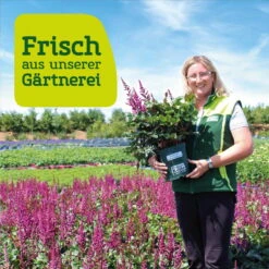 Bio Reitgras 'Karl Förster', Topf-Ø 11 Cm, 3er-Set -Biohort Gartenarbeit Geschaft frau setz eigenproduktion 2
